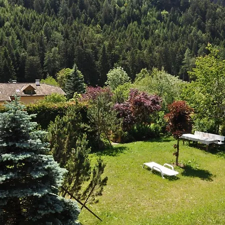 Rosa San Lugano